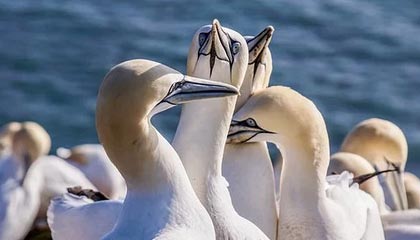 mk体育网址-巴黎稳定阵容加强比赛掌控力，巴黎阵容预测