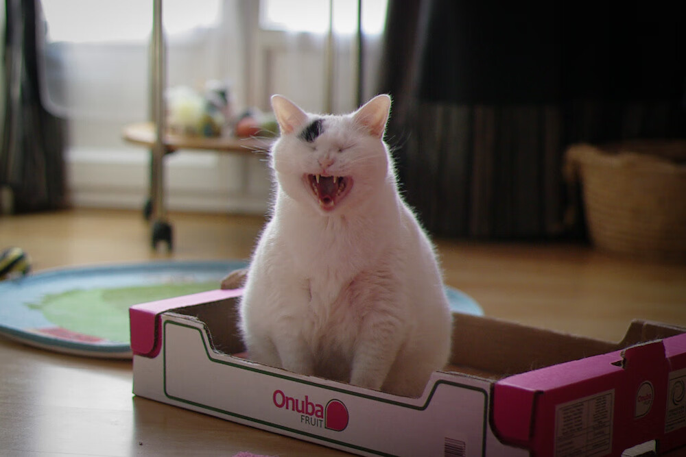 利物浦注重控球打出节奏变化,利物浦控球率