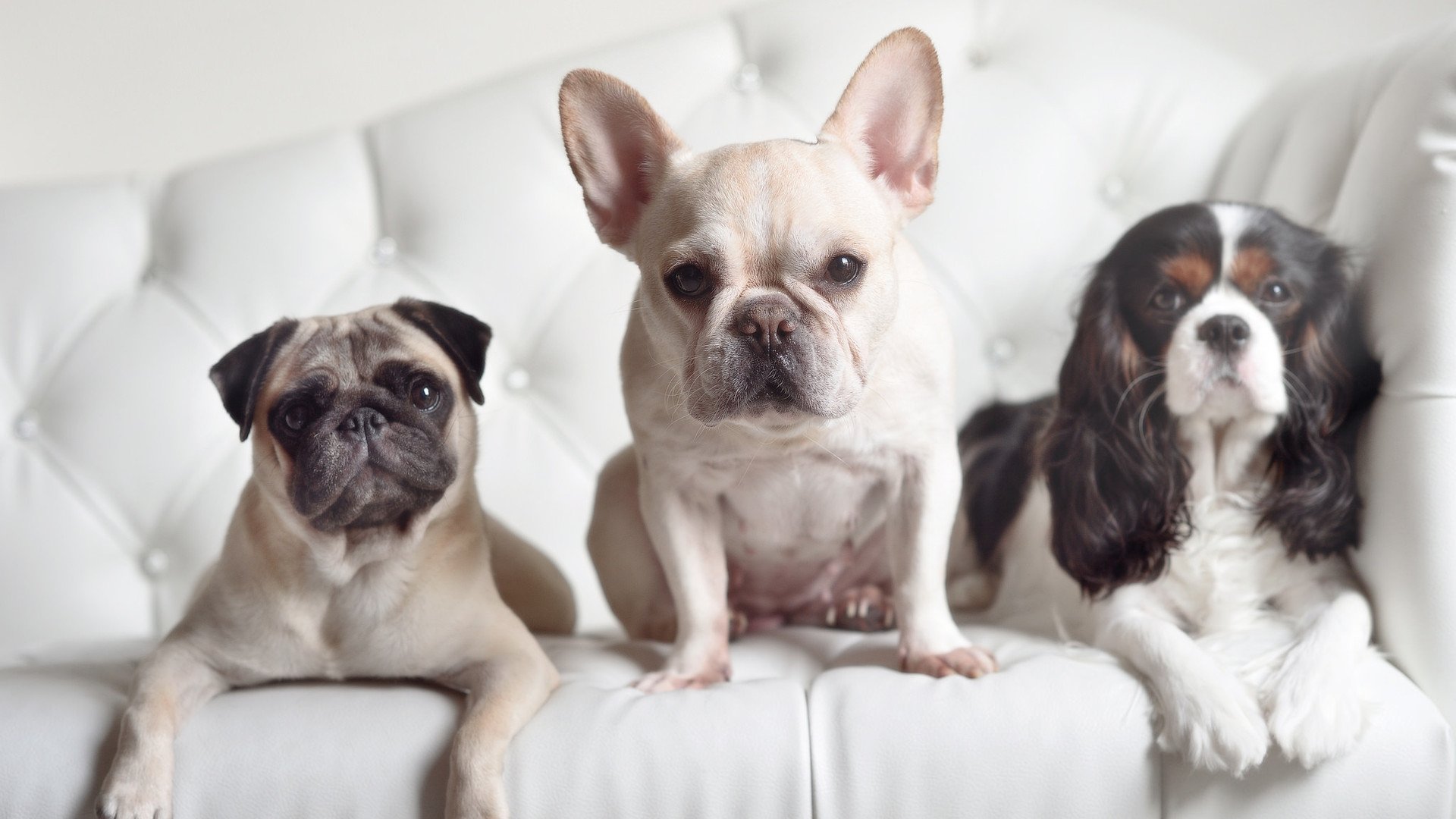 mk体育在线-数据看趋势：2025年蛙泳节奏更快，2020蛙泳游泳比赛视频